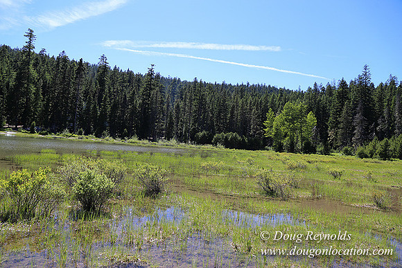 Frog Lake-3481