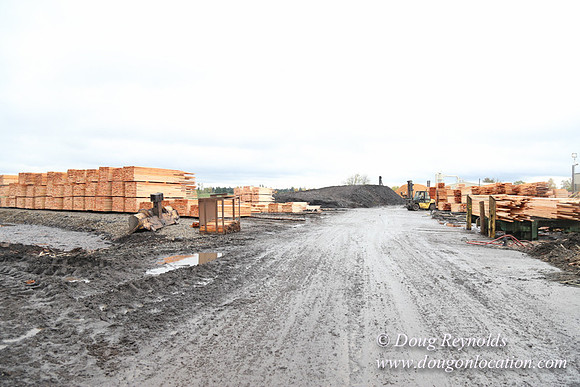 Saw Mill and Lumber Yard
