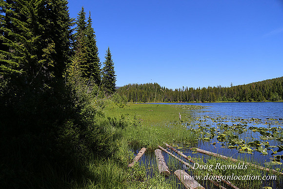 Trillium Lake-32003675