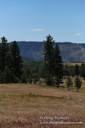 Brothers Ranch-8429