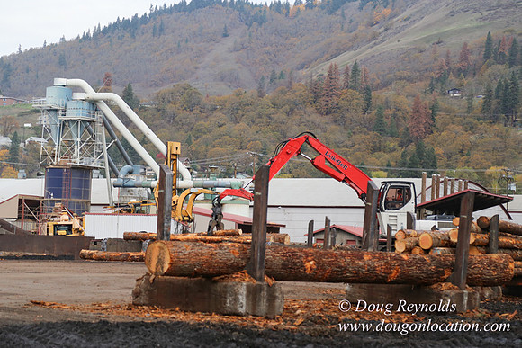 SDS Lumber-1311