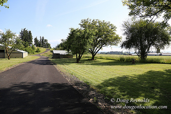 Helvetia rd at Mikes-5978