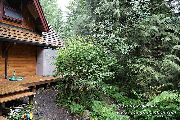 Gary's Cabin-7560