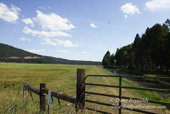 Ranch 18 South side of Hwy  has 2500 Acres of green fields Creeks water crossing Bridges on a Large Lake and miles of Dirt roads Oak trees  Forest land ATV Trails cows