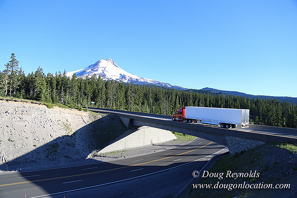 CMD Western Star Production Photo
