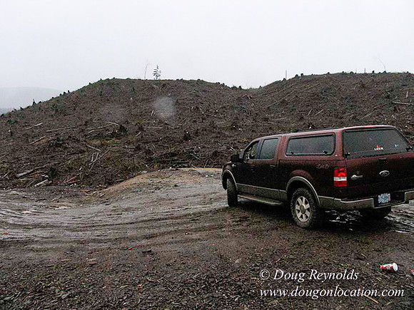 WC Clear Cut 2010-7789