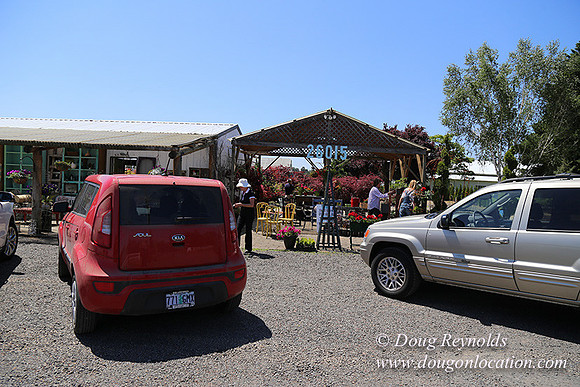 Little Door Farm Market-5388