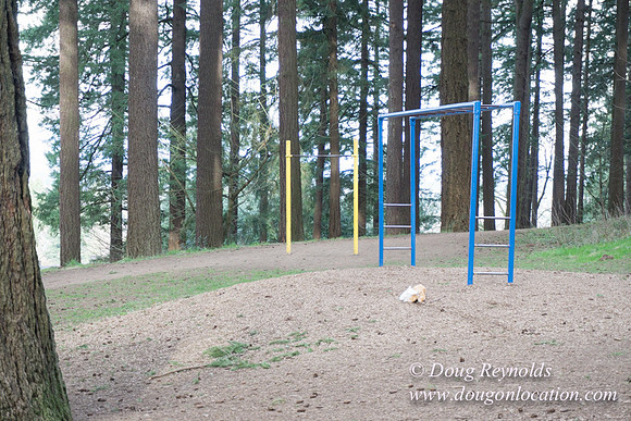 Mount Tabor-2914