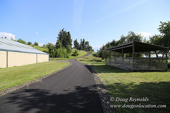 Helvetia rd at Mikes-5984