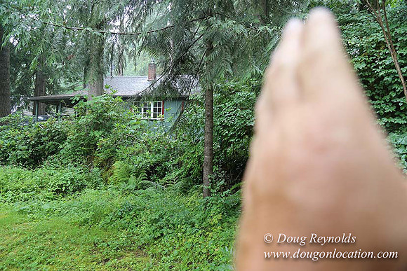 Small, Cabin, Home, River, OR, Oregon, Green, Yard,