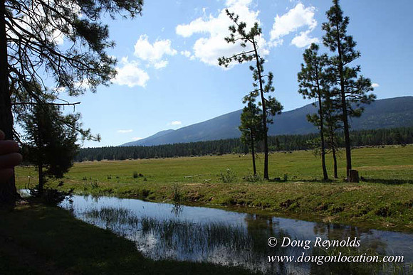 Ranch 18 South side of Hwy  has 2500 Acres of green fields Creeks water crossing Bridges on a Large Lake and miles of Dirt roads Oak trees  Forest land ATV Trails cows