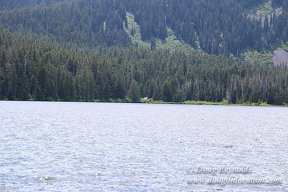 Lost Lake North 2-4211