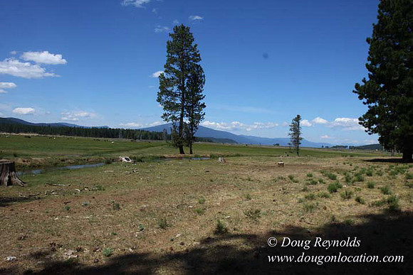 Ranch 18 South side of Hwy  has 2500 Acres of green fields Creeks water crossing Bridges on a Large Lake and miles of Dirt roads Oak trees  Forest land ATV Trails cows
