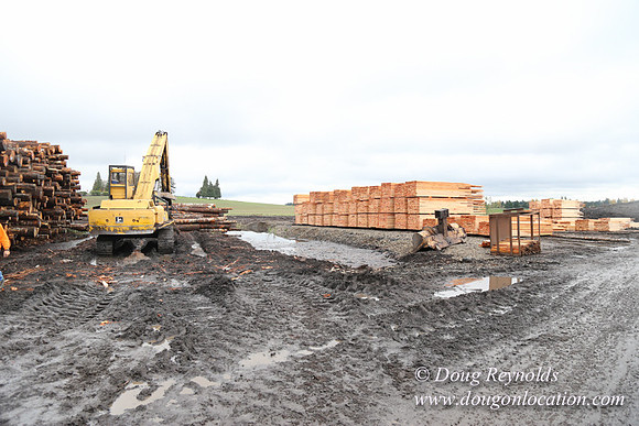 Saw Mill and Lumber Yard
