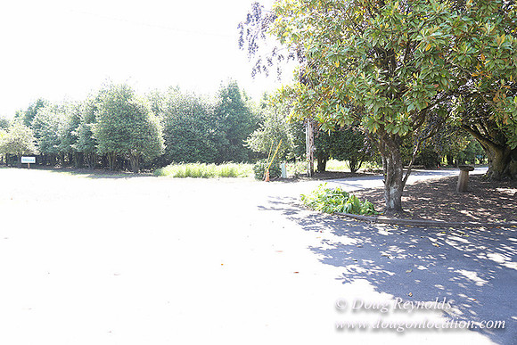 Vahan's Farm House-5223