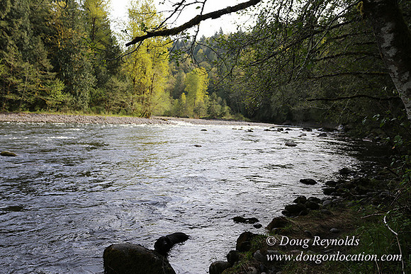 Brians River Side-0009