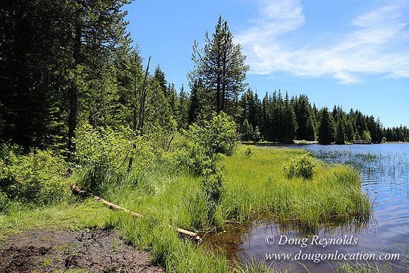Trillium Lake-32003616