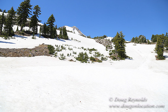 Medow's Snow-5687
