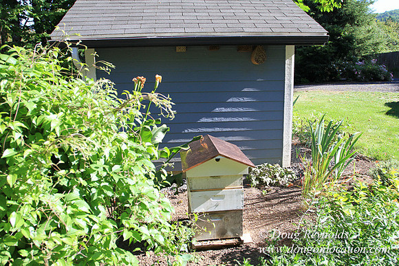 Traditional Style Home small farm with large kitchen great room, 2 story, 2 car garage on Acreage with large back yard, large front yard, garden, pond, deck, goats, bees, shop, PDX Zone