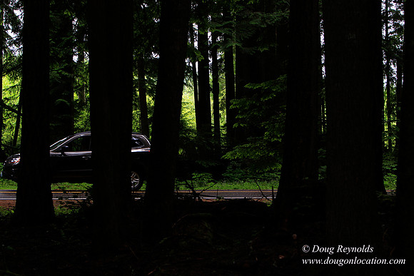 Larch Mt Rd