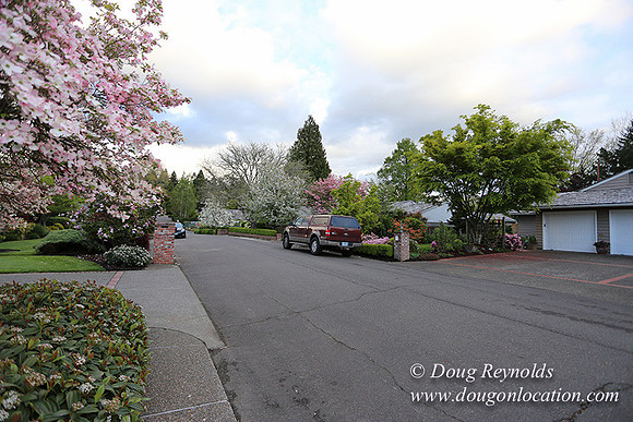 Mid Century Traditional Style Home, With a Basement, 2 car garage average sized Back Yard with Patio.
