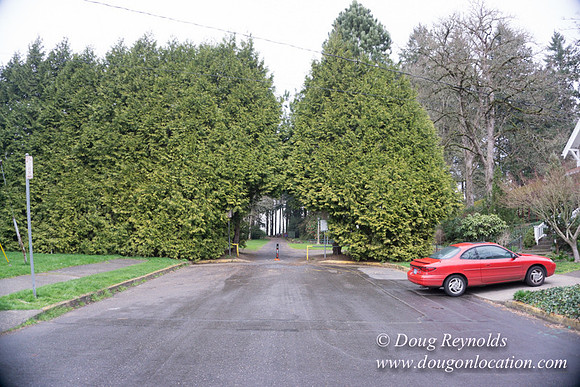Sellwood Park-2297