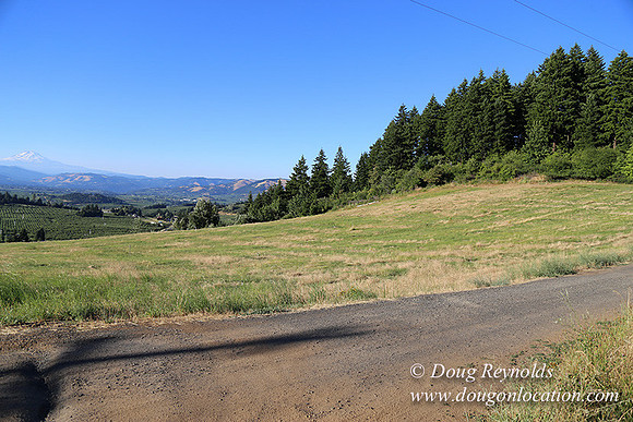 Both Hill Rd-8608