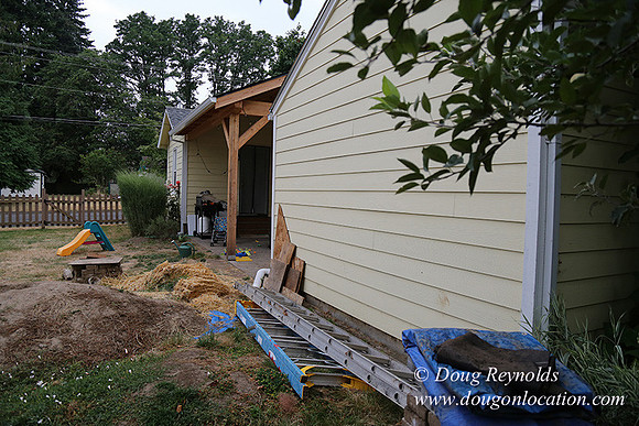 Nathan's Backyard-1739