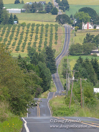 Laurel Hill Road 48518