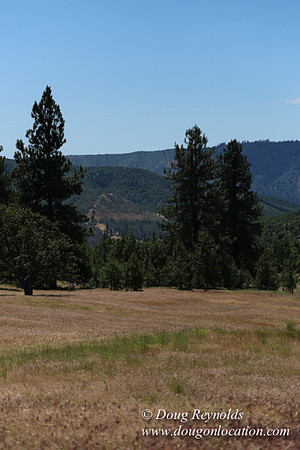 Brothers Ranch-8428