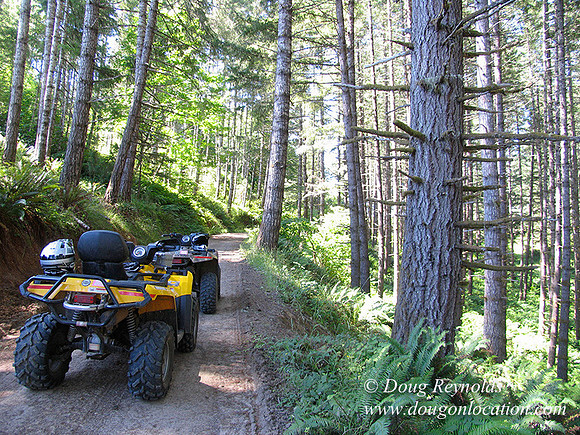 Ranch 6 has 2500 Acres of rolling green hills barns Creeks water crossing Bridges River and miles of Dirt roads Oak trees Cabins Forest land ATV Trails Camping