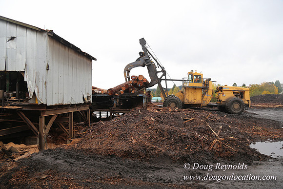 Saw Mill and Lumber Yard