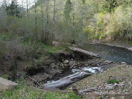 Cedar Camp Falls Bridge
