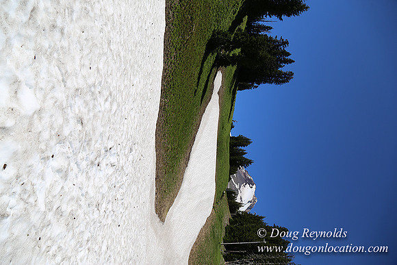 Medow's Snow-5816