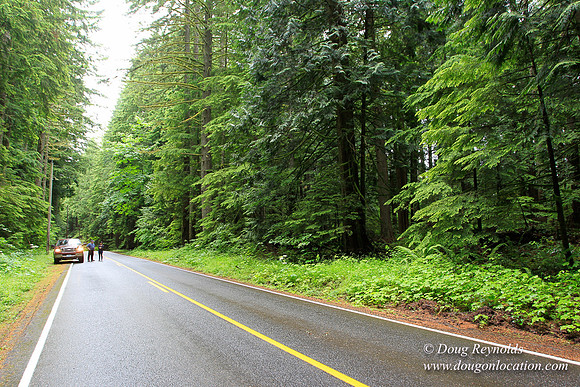 Larch Mt Rd