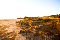 OPVPSBSP  Rock Coastal Area