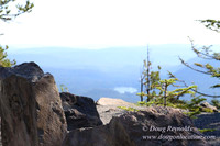 Timberline Rd View South-6978