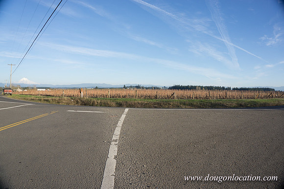 Kelso Rd W Driving E-3968