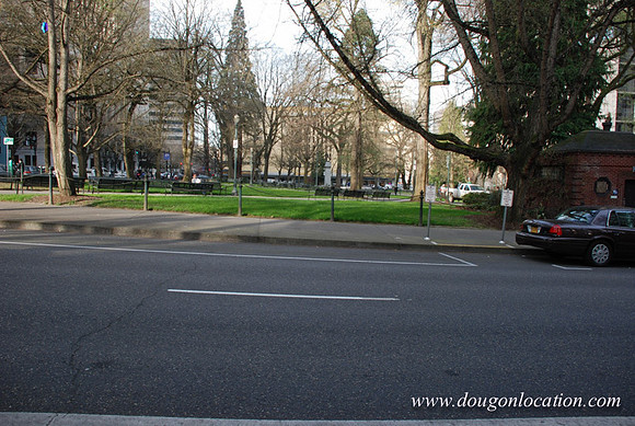 Chapman Square-0455