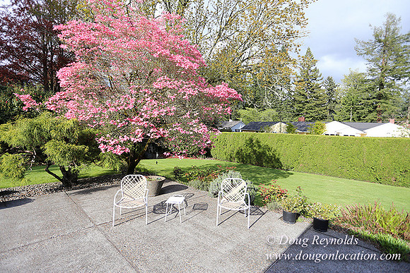 Mid Century Traditional Style Home, With a Basement, 2 car garage average sized Back Yard with Patio