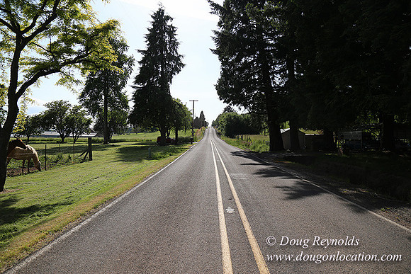 Helvetia rd at Mikes-5956