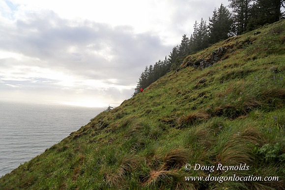 Ross Cape Perpetua-1753