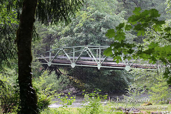 Small, Cabin, Home, River, OR, Oregon, Green, Yard,