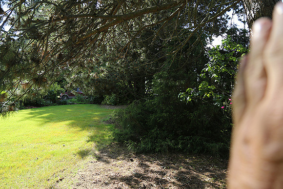 Dale's Penny Ln-4928