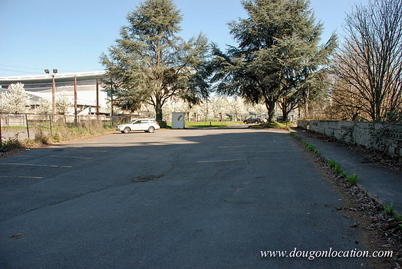 Thunderbird Lot-0789
