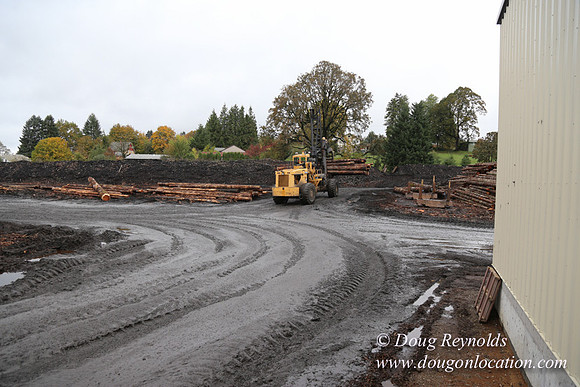 Saw Mill and Lumber Yard