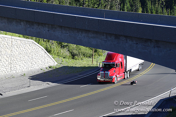 CMD Western Star Production Photo