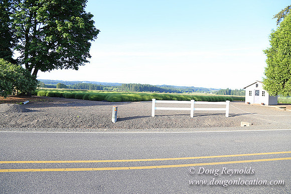 Toms Rd Side-6362