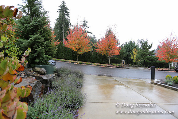 Kathy's House-0412