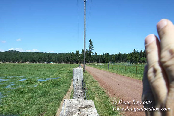 2500 Acres of green fields Creeks water crossing Bridges on a Large Lake and miles of Dirt roads Oak trees Forest land ATV Trails cows